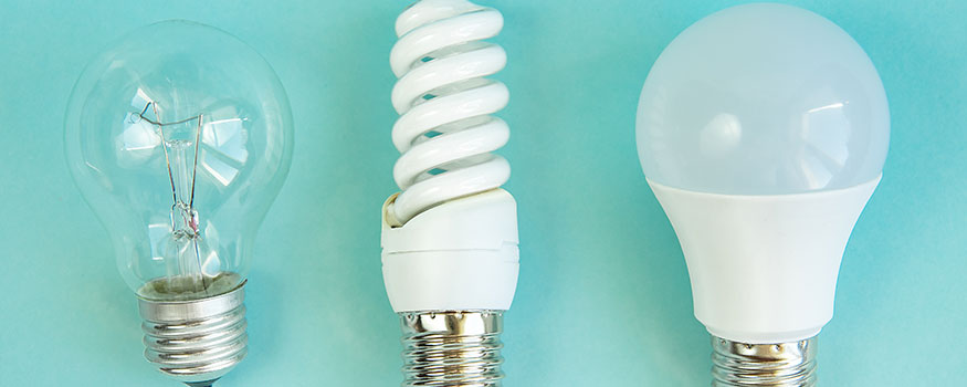 Light Bulb Comparison